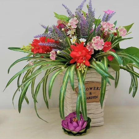 Cornelia לינה וארוחת בוקר 3*