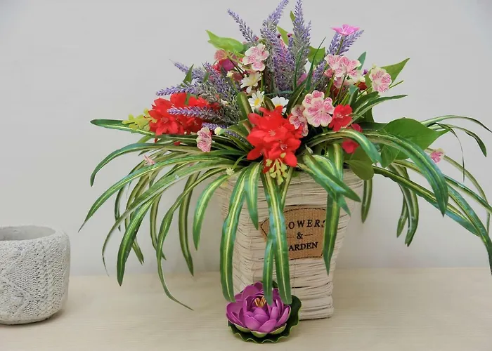 Cornelia Bed & Breakfast 3*